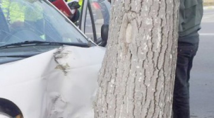 O şoferiţă a intrat cu maşina în copac, la Rasova